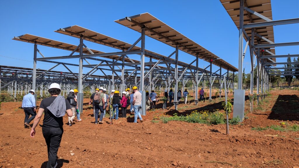 Gruppo di persone con caschetti da cantiere visita l'impianto agrivoltaico avanzato di LAND Impresa Sociale, camminando tra filari di alberelli da frutto piantati sotto ampie strutture metalliche che sostengono pannelli solari.